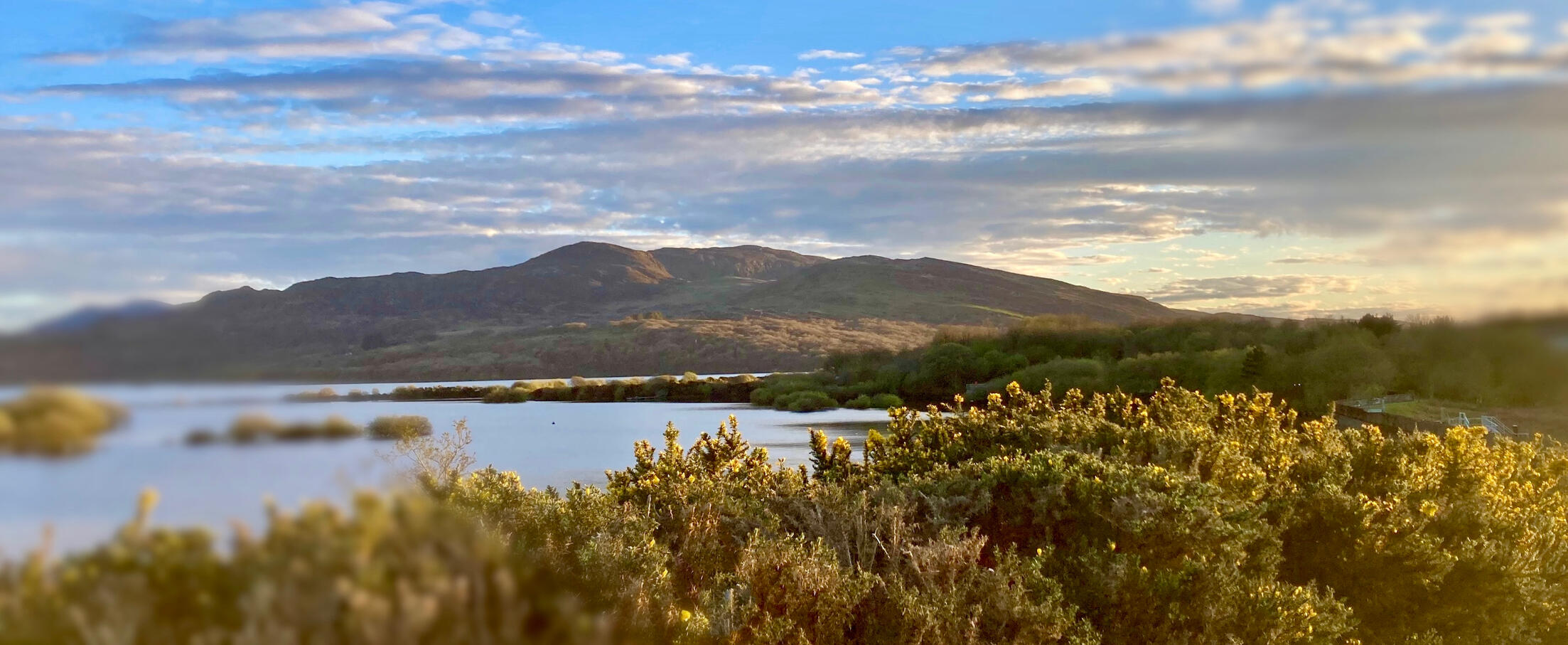 Trawsfynydd Lake and the Rhinog